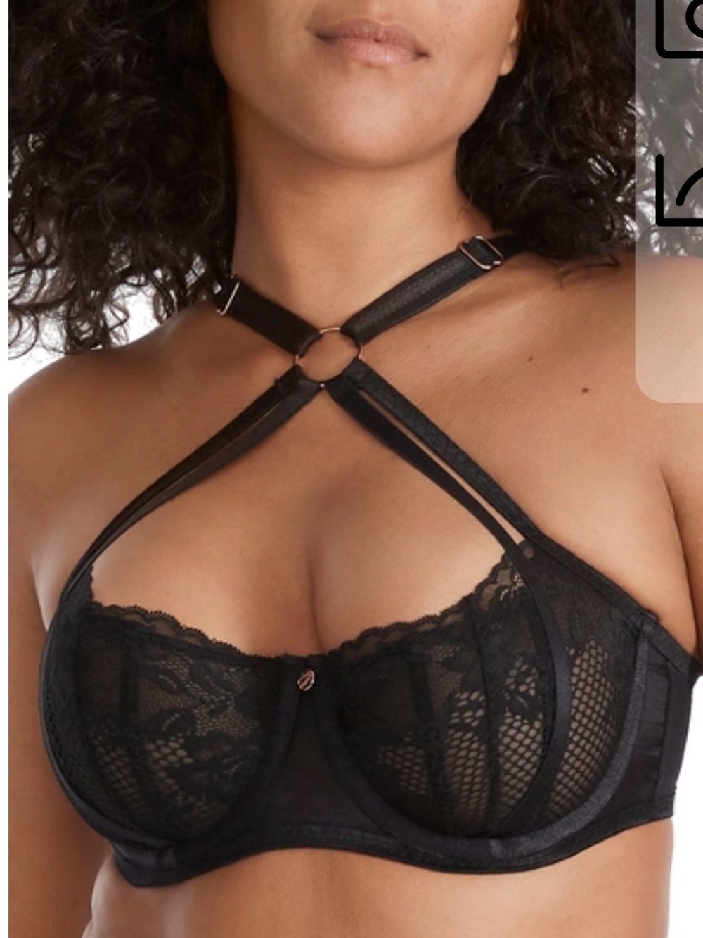 Scantilly Centrepiece bra and thong set NWT